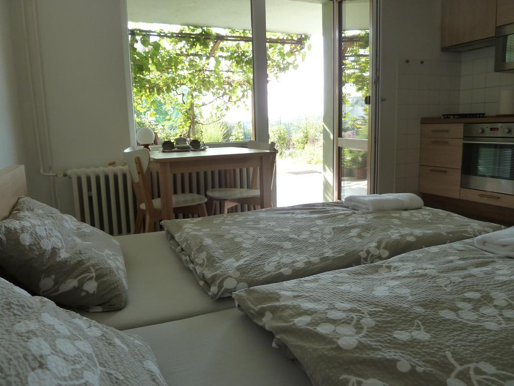 Ubytovani Vinohrady 73 Znojmo Ngoại thất bức ảnh